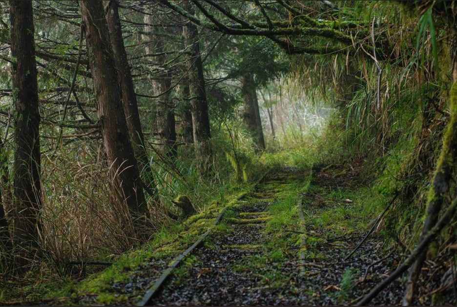 入山之聲一自然調查之旅與山林安全系列講座