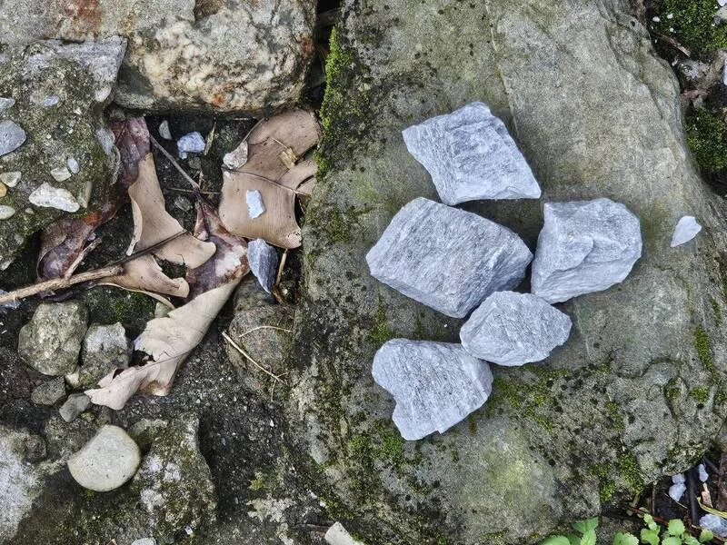 亞泥新城礦場碎石事件，亞泥主動停工立即改善