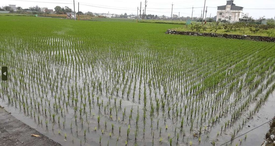 防汛期間吉安鄉公所重視農業風險管理
