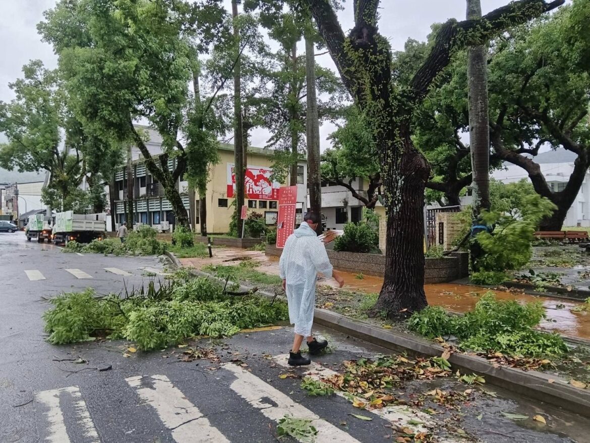 楊柳災後總動員 風雨減緩後公所立即出動恢復家園