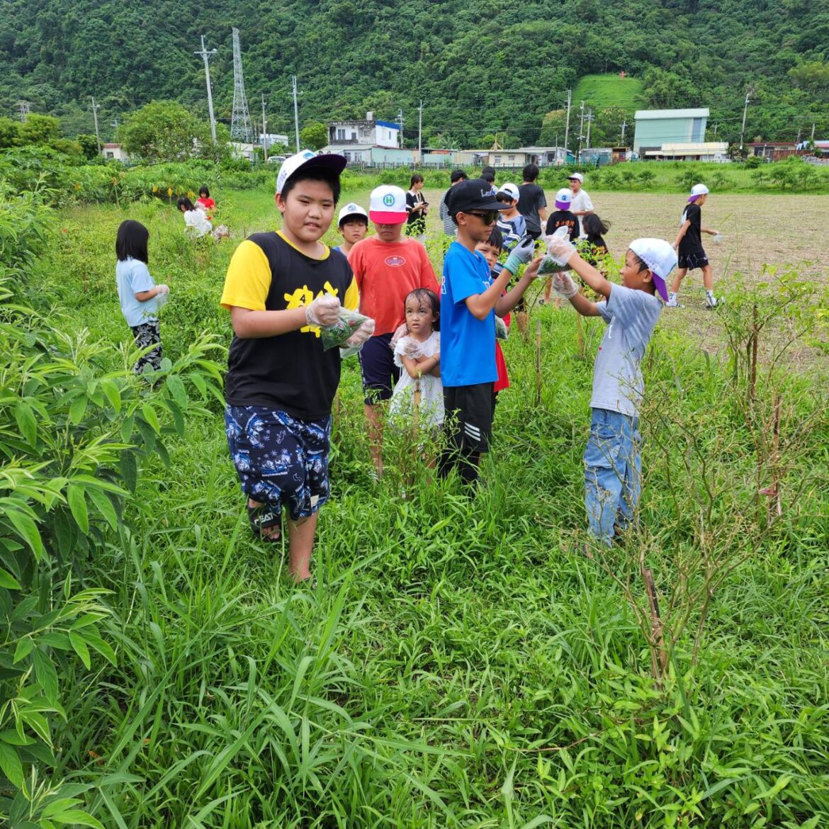 小太陽關懷協會辦理食農教育課程，理事長徐美玲：體驗農耕生活的辛勞
