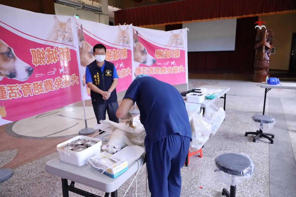 新城鄉公所持續推動動物保護政策 犬貓絕育與防疫雙管齊下