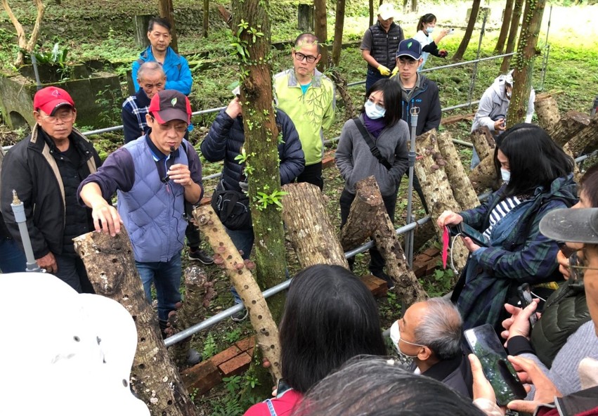 香菇栽培看這裡  林業署花蓮分署教會你