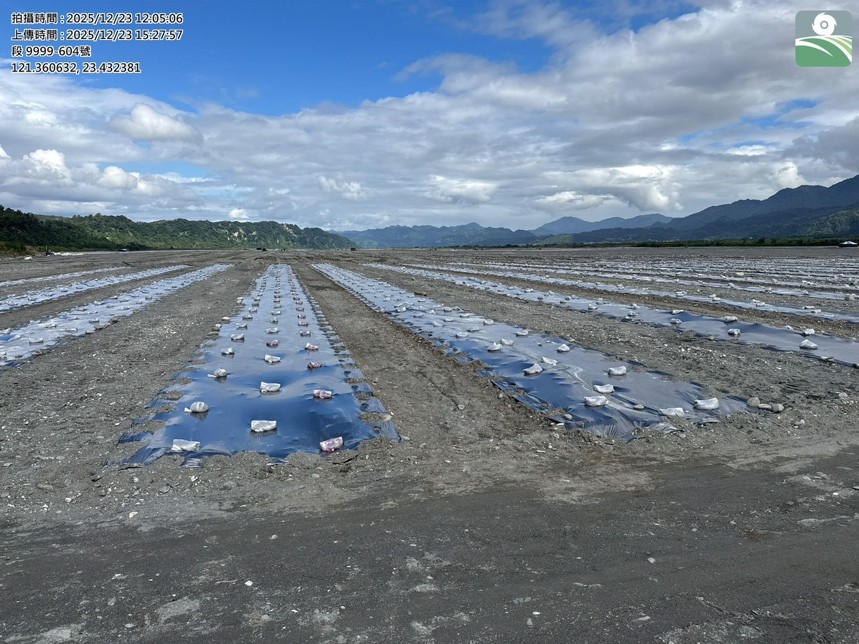 玉里鎮異味飄散追蹤 中央縣府地方聯合會勘稽查