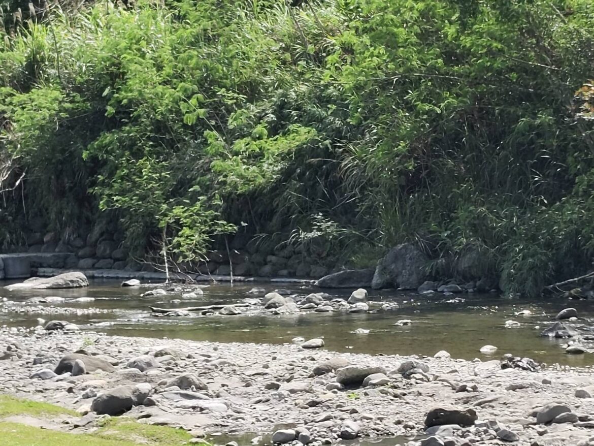 「安通濯暖‧湯脈重現」 回歸‧安全‧自然‧原味