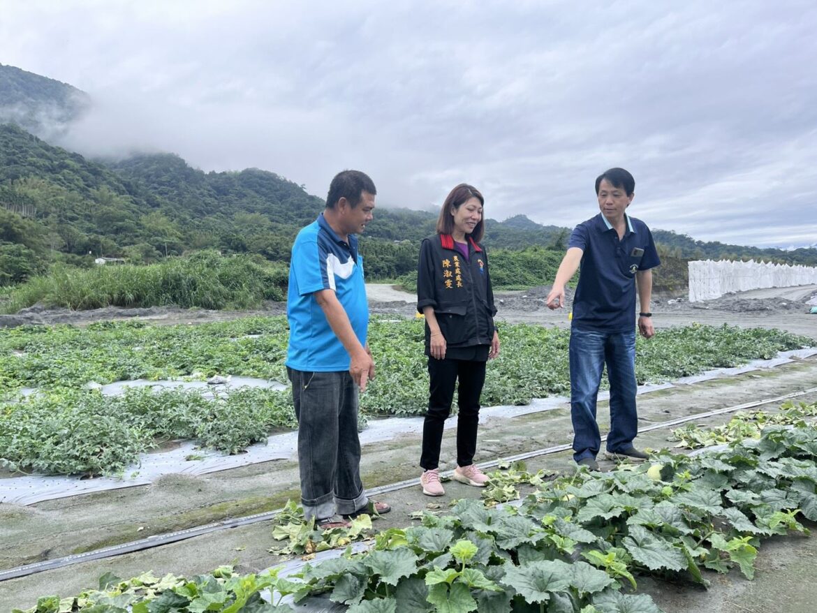 幸福滋味在花蓮　花蓮大西瓜沙脆甜即將上市 1200度熟成風味　5月起全臺展開行銷活動
