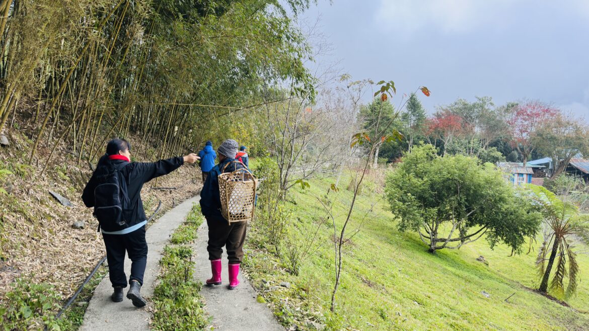 補助資源加碼！太管處新制上路，支持在地團體實踐好點子