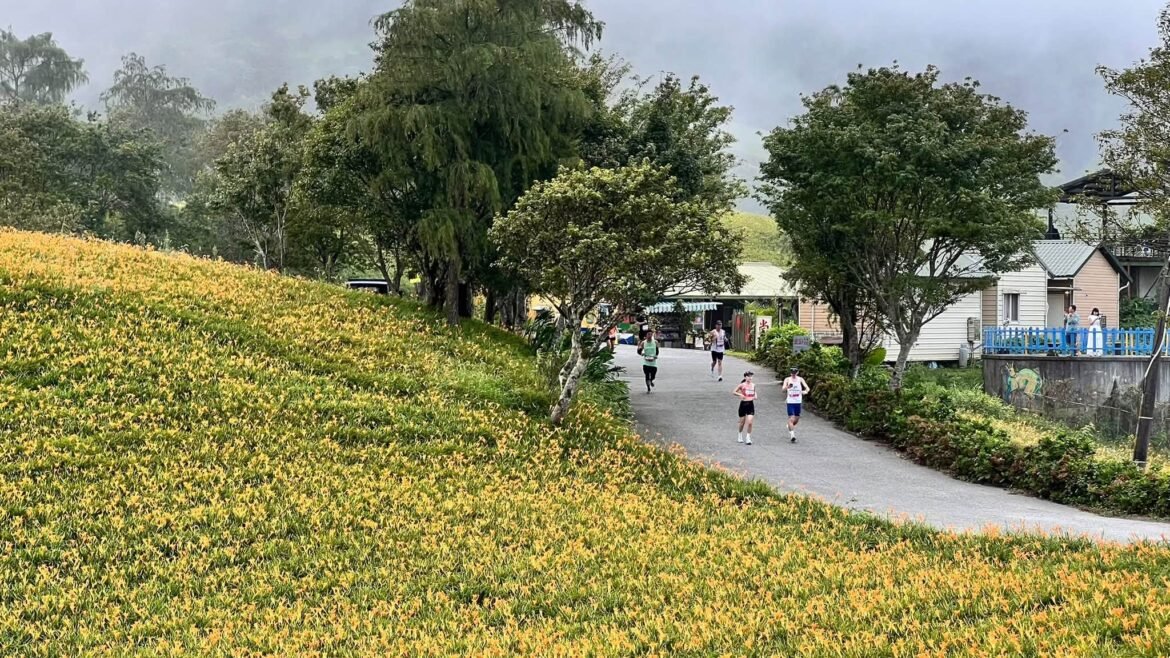 金色花海沸騰了！逾2,400名跑者勇闖六十石山超半程馬拉松　江東成打造富里運動觀光品牌